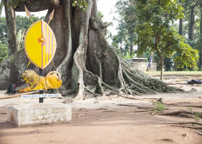 Nakayima Tree is a Buganda Kingdom cultural site