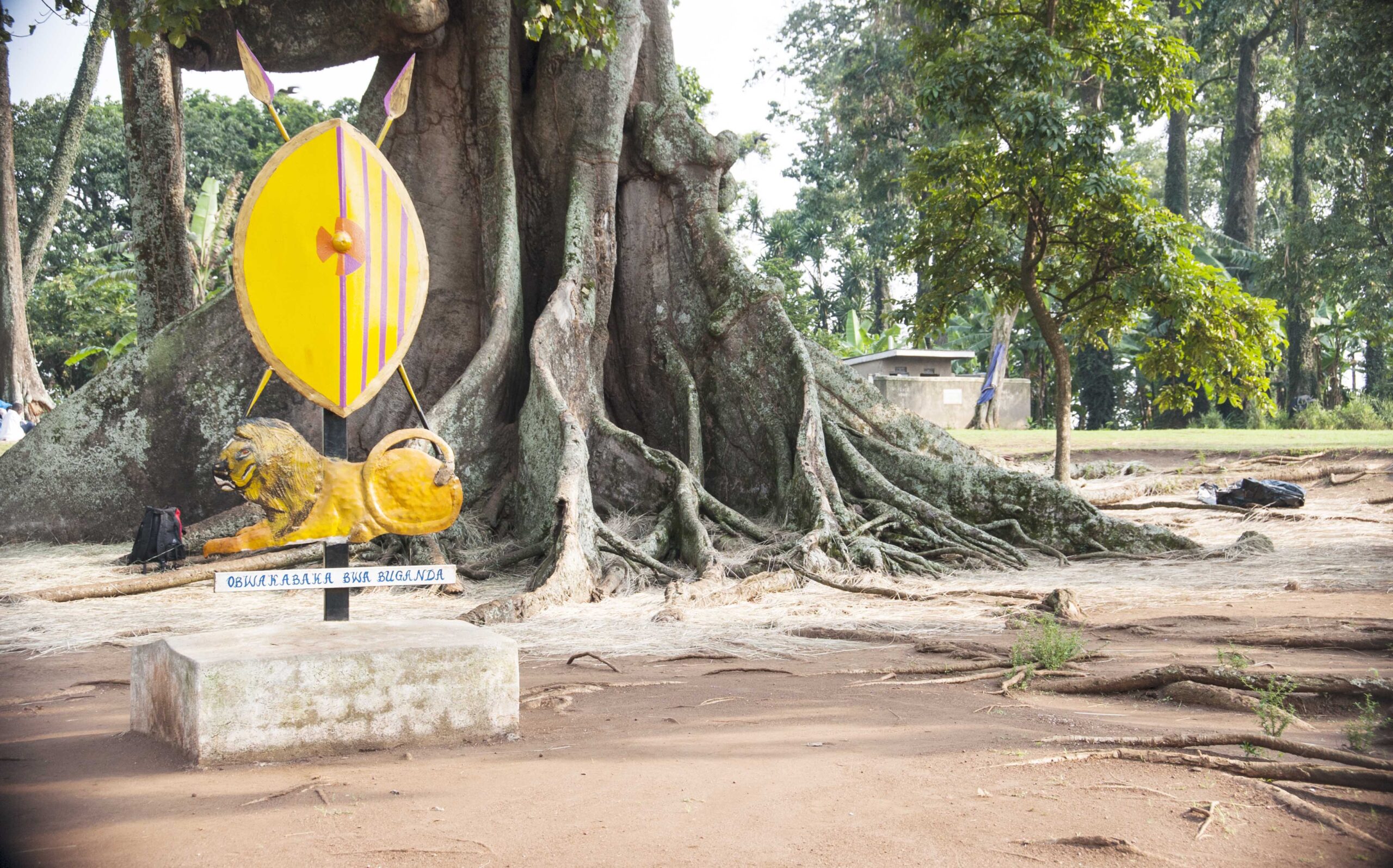 Nakayima Tree is a Buganda Kingdom cultural site