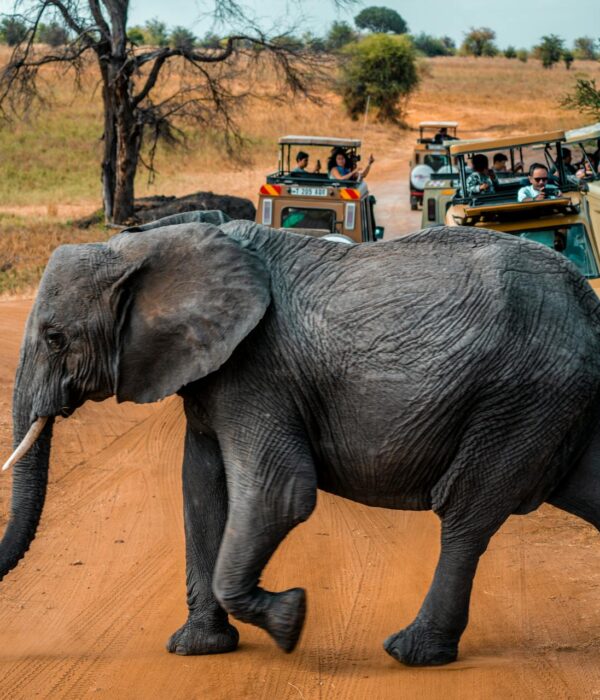 Maasai Mara