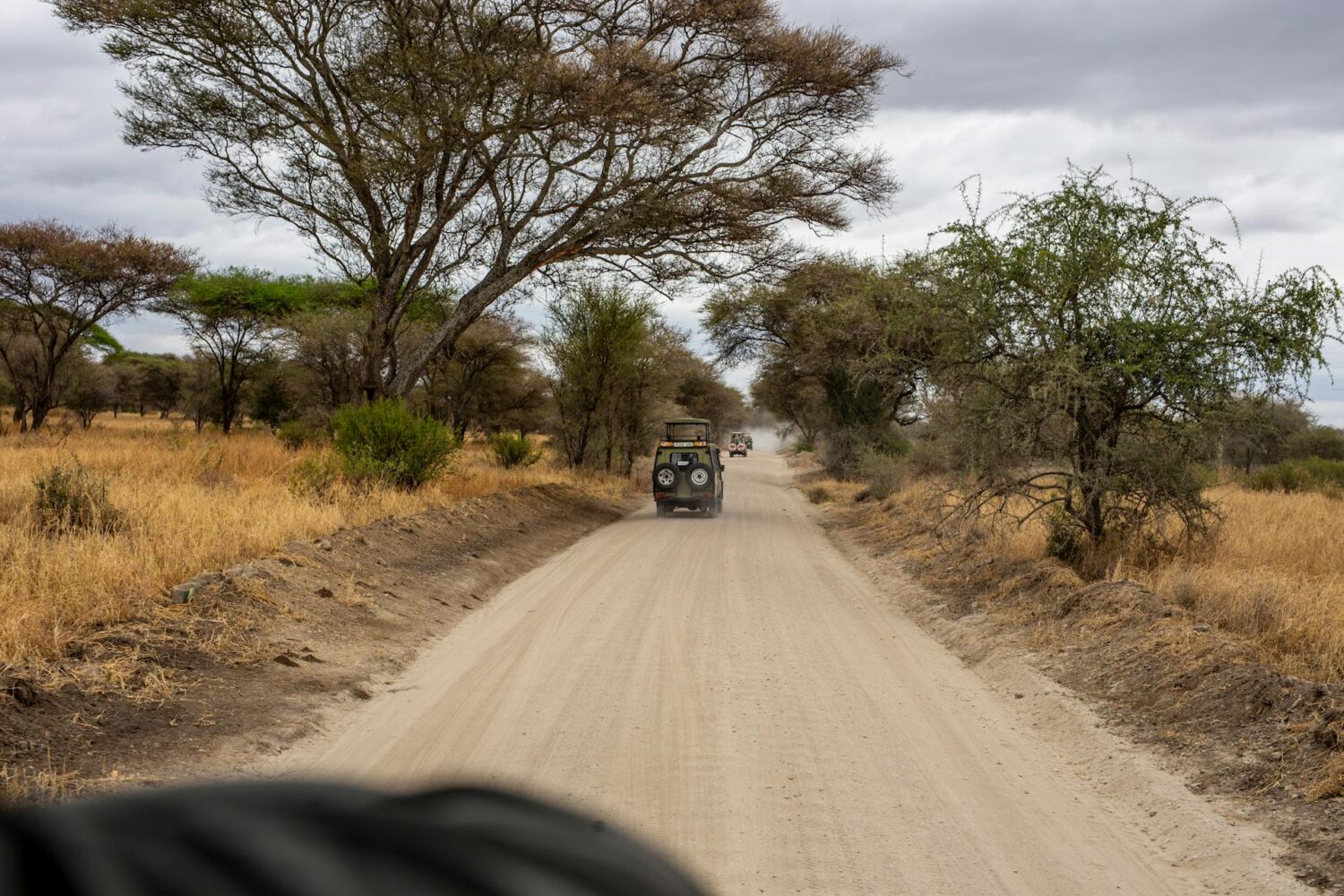 Maasai Mara